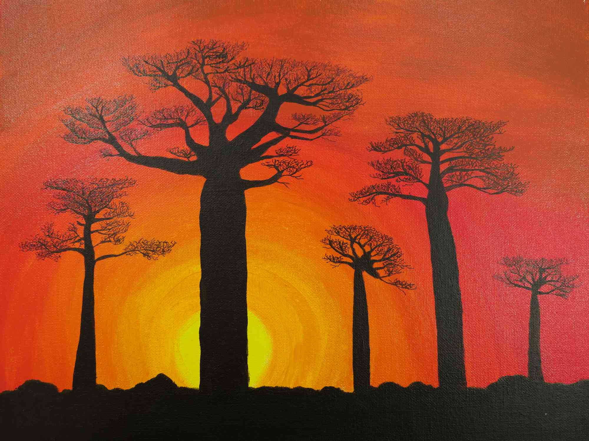 Baobab im Sonnenuntergang